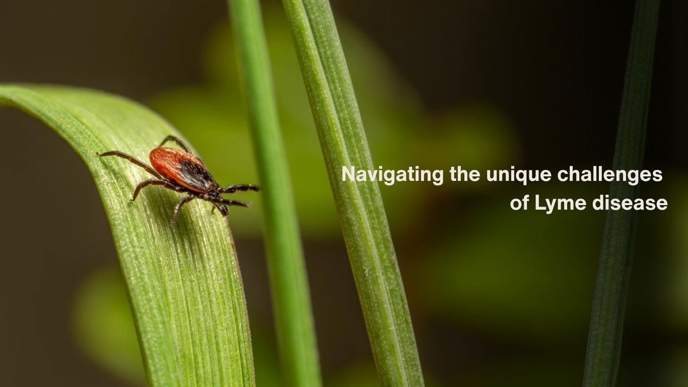 Navigating the challenges of Lyme disease